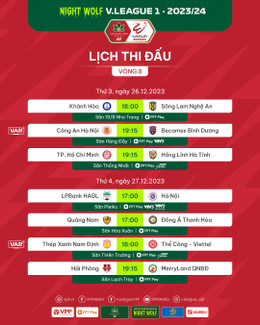 Trực tiếp bóng đá Hải Phòng vs Quy Nhơn Bình Định