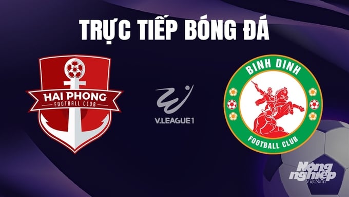 Trực tiếp bóng đá Hải Phòng vs Bình Định hôm nay 27/12/2023