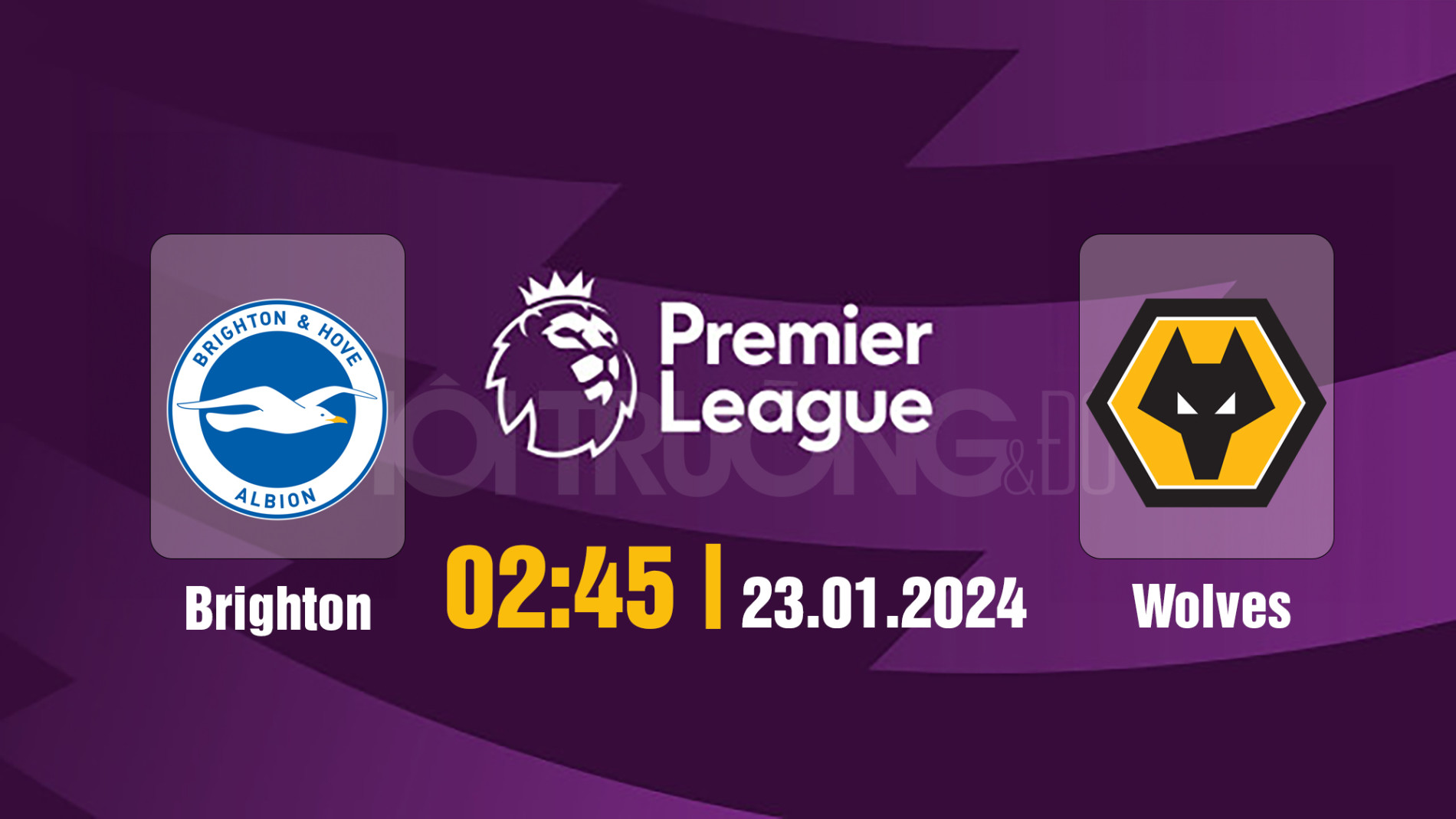 Link xem Trực tiếp bóng đá Brighton vs Wolves 02h45 hôm nay 23/1/202