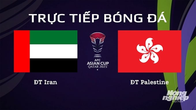 VTV Cần Thơ, VTV5 trực tiếp bóng đá UAE vs Hong Kong ngày 14/1