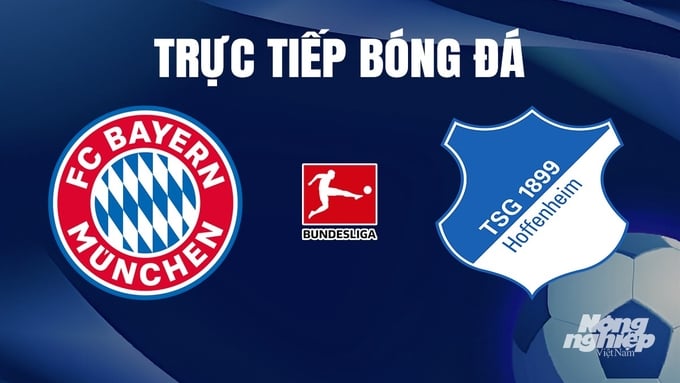 Trực tiếp bóng đá Bayern Munich vs Hoffenheim hôm nay 13/1/2024