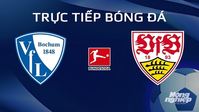 Trực tiếp bóng đá Bochum vs Stuttgart hôm nay 20/1/2024