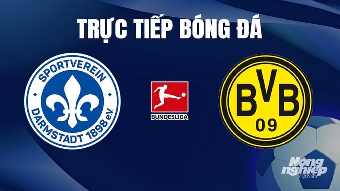 Trực tiếp bóng đá Darmstadt vs Dortmund hôm nay 14/1/2024