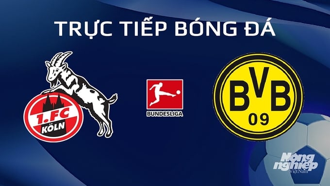 Trực tiếp bóng đá Koln vs Dortmund hôm nay 20/1/2024