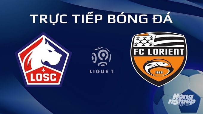 Trực tiếp bóng đá Lille vs Lorient hôm nay 14/1/2024