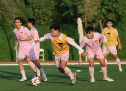 Link xem trực tiếp bóng đá Việt Nam vs Nhật Bản