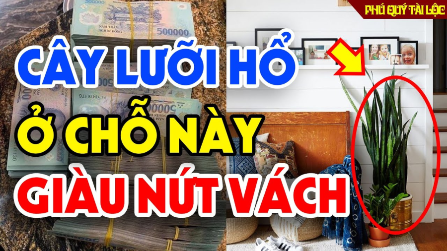 Gia chủ gặp nhiều may mắn, ăn nên làm ra