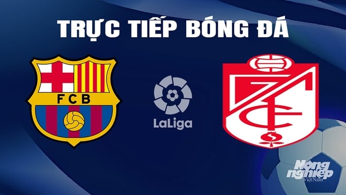 Trực tiếp bóng đá Barcelona vs Granada hôm nay 12/2/2024