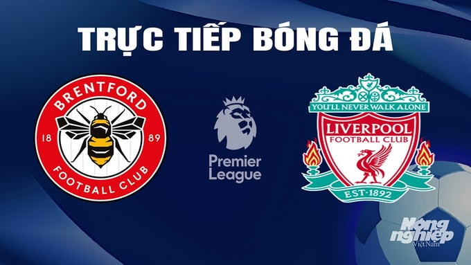 Trực tiếp bóng đá Brentford vs Liverpool hôm nay 17/2/2024