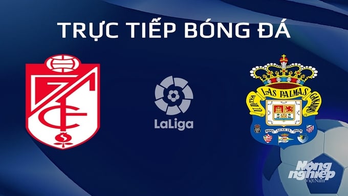 Trực tiếp bóng đá Granada vs Las Palmas hôm nay 3/2/2024