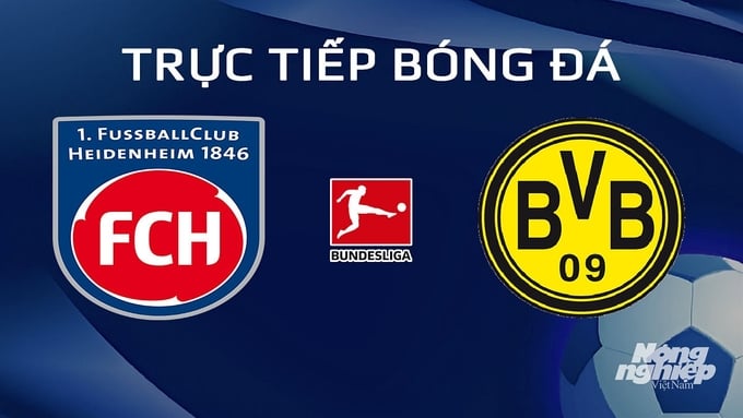 Trực tiếp bóng đá Heidenheim vs Dortmund hôm nay 3/2/2024